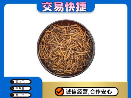 潍坊高价回收散虫草